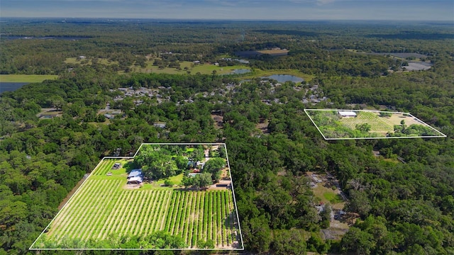 1056 Reynolds Rd, De Leon Springs, FL 32130 - aerial view of sparsely populated area with property boundaries highlighted and a heavily wooded area