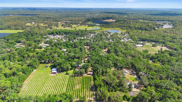 1056 Reynolds Rd, De Leon Springs, FL 32130 - view of rural area featuring a large body of water and a forest
