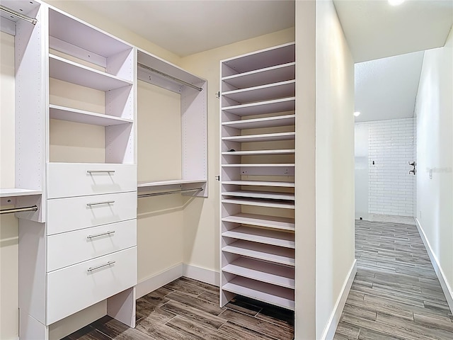 1520 Stone Trl, Enterprise, FL 32725 - walk in closet with dark wood-style floors
