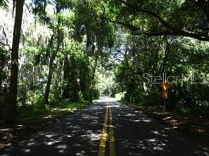 1520 Stone Trl, Enterprise, FL 32725 - view of asphalt street