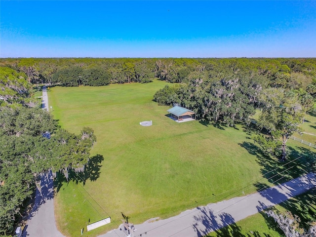 1520 Stone Trl, Enterprise, FL 32725 - drone / aerial view of a forest