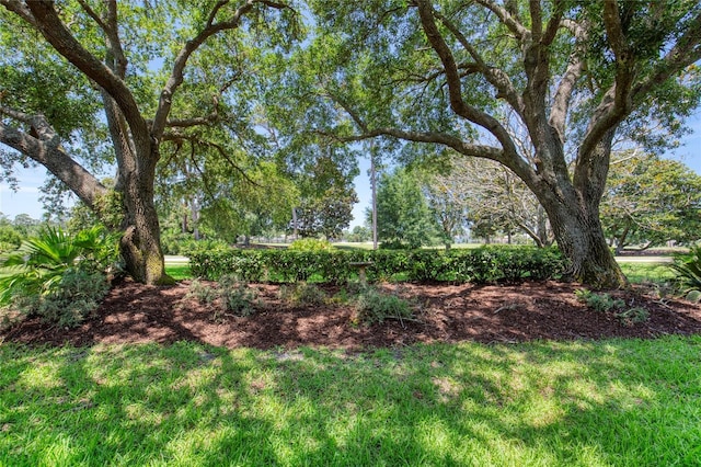 438 Harbour Town Ln, Ormond Beach, FL 32174 - view of green lawn