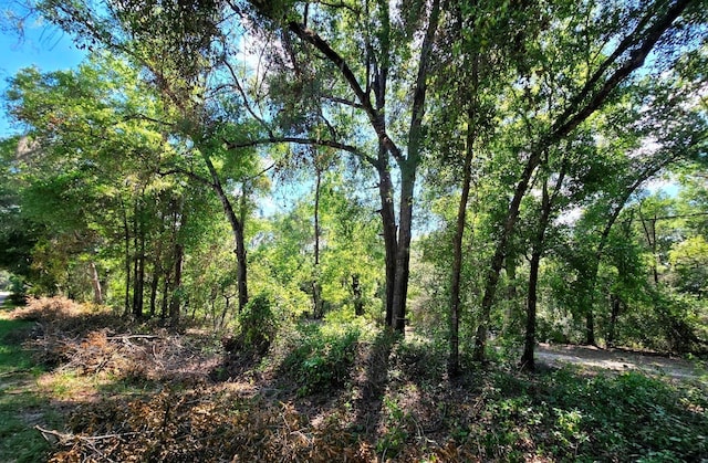 162 Putnam Loop Rd, Melrose, FL 32666
