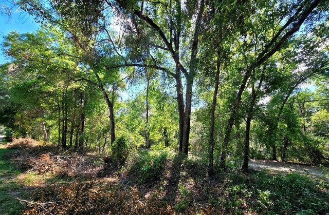 162 Putnam Loop Rd, Melrose, FL 32666 - photo 4
