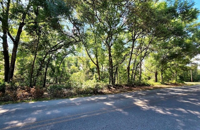 162 Putnam Loop Rd, Melrose, FL 32666