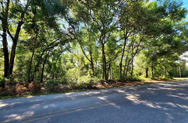 162 Putnam Loop Rd, Melrose, FL 32666 - photo 7
