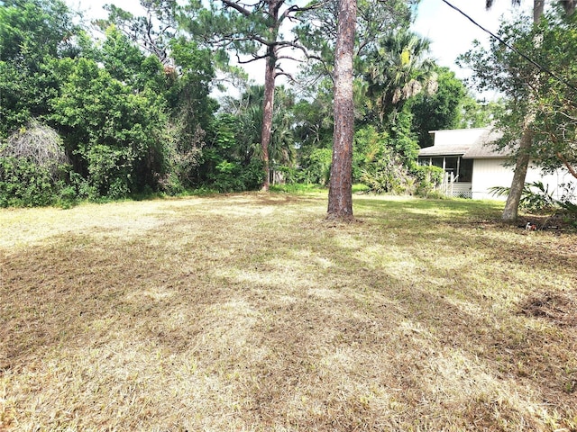 2647 Brookline Ave, New Smyrna Beach, FL 32168 - view of green lawn