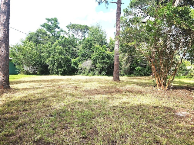 2647 Brookline Ave, New Smyrna Beach, FL 32168 - view of green lawn