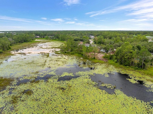 1092 Gage Ave, Deltona, FL 32738 - aerial view of a heavily wooded area