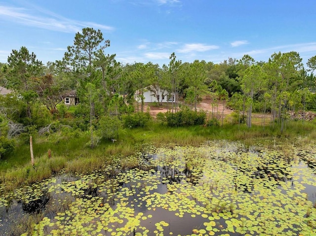 1092 Gage Ave, Deltona, FL 32738 - view of yard