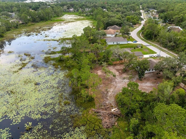 1092 Gage Ave, Deltona, FL 32738 - aerial overview of property's location with a large body of water and a heavily wooded area