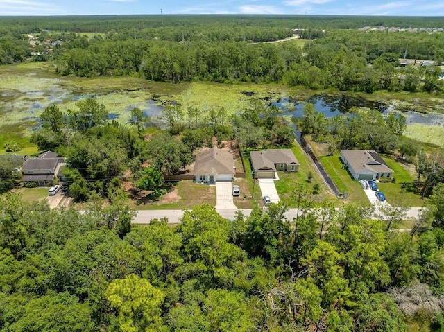 1092 Gage Ave, Deltona, FL 32738 - drone / aerial view of a heavily wooded area and a nearby body of water