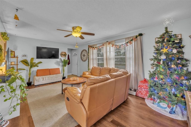 1398 5th Ave, Deland, FL 32724 - photo 5
