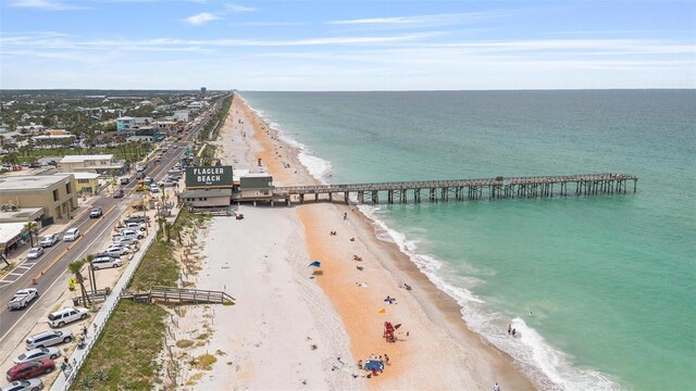 2706 S Daytona Ave, Flagler Beach, FL 32136 - photo 41