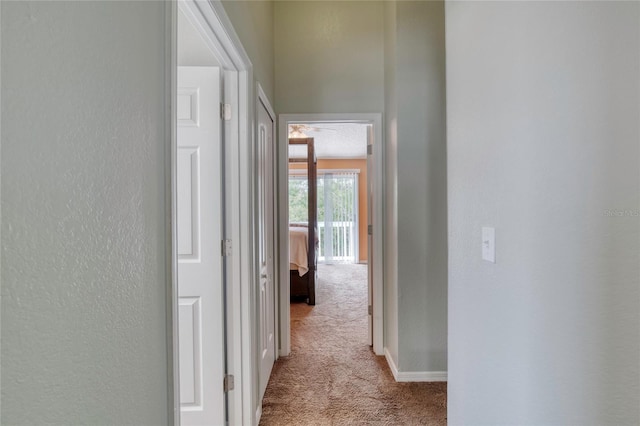 721 Laurel Bay Cir, New Smyrna Beach, FL 32169 - hallway featuring carpet and a textured wall