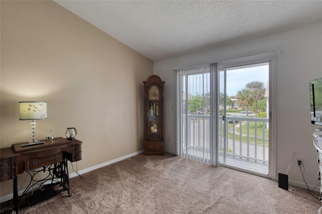 721 Laurel Bay Cir, New Smyrna Beach, FL 32169 - carpeted home office with a textured ceiling and baseboards