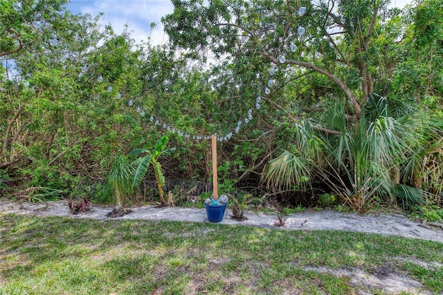 721 Laurel Bay Cir, New Smyrna Beach, FL 32169 - view of grassy yard