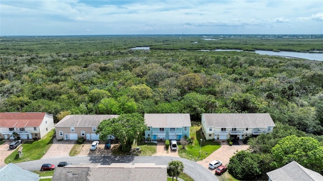 721 Laurel Bay Cir, New Smyrna Beach, FL 32169 - aerial perspective of suburban area with a heavily wooded area
