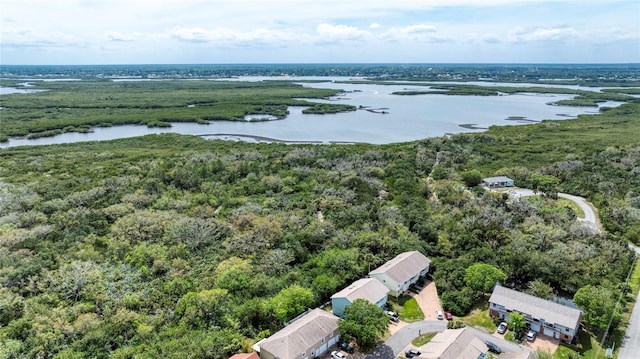 721 Laurel Bay Cir, New Smyrna Beach, FL 32169 - aerial view of a nearby body of water and a forest