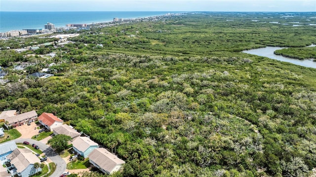 721 Laurel Bay Cir, New Smyrna Beach, FL 32169 - bird's eye view of a large body of water and a forest