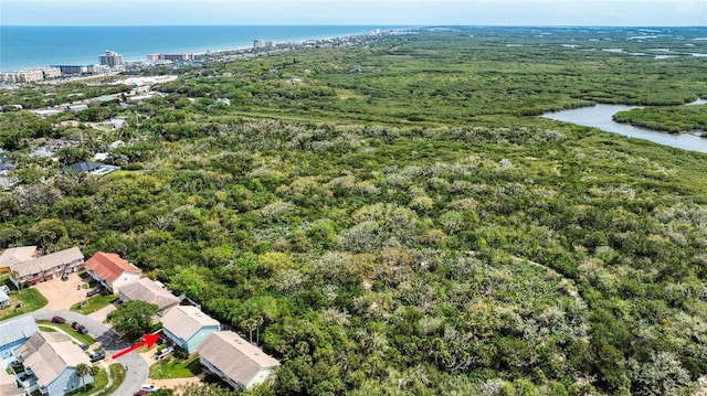 721 Laurel Bay Cir, New Smyrna Beach, FL 32169 - aerial view of a large body of water and a heavily wooded area