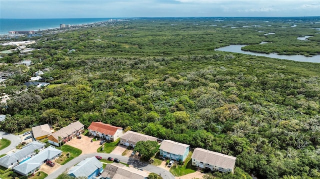 721 Laurel Bay Cir, New Smyrna Beach, FL 32169 - bird's eye view of a nearby body of water and a heavily wooded area