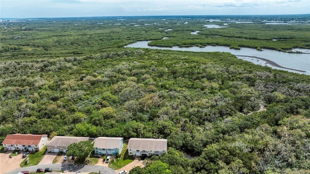 721 Laurel Bay Cir, New Smyrna Beach, FL 32169 - aerial view of a large body of water and a heavily wooded area