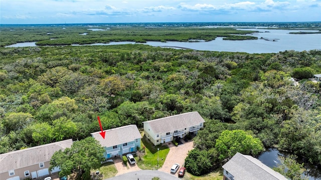 721 Laurel Bay Cir, New Smyrna Beach, FL 32169 - drone / aerial view of a forest and a large body of water
