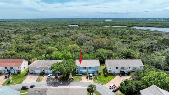 721 Laurel Bay Cir, New Smyrna Beach, FL 32169 - aerial view of residential area featuring a forest