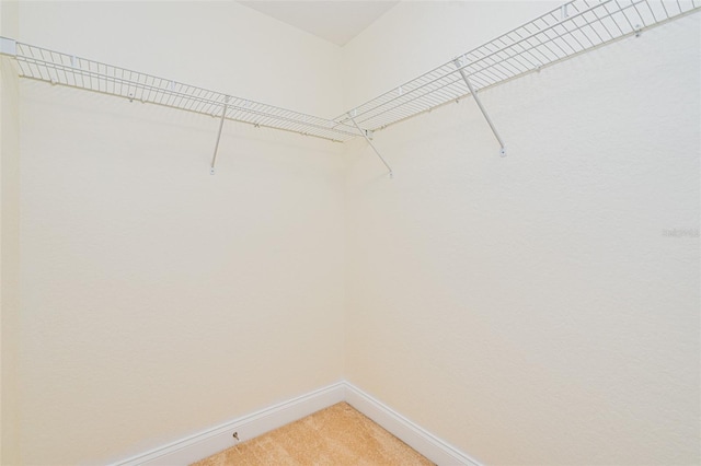 2 Oceans W Blvd Unit 305, Daytona Beach, FL 32118 - spacious closet featuring light colored carpet