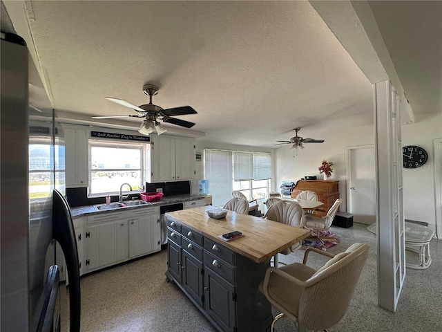29146 Tamayo Dr, Punta Gorda, FL 33982 - kitchen with a sink, ceiling fan, plenty of natural light, and a textured ceiling