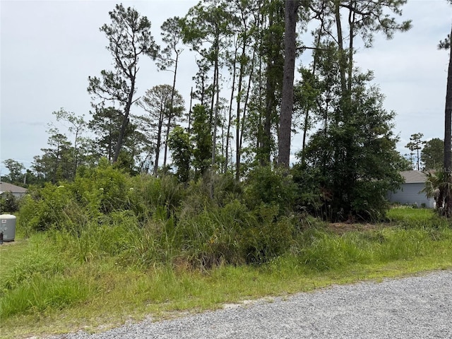 5th Ave, Deland, FL 32724 - photo 2