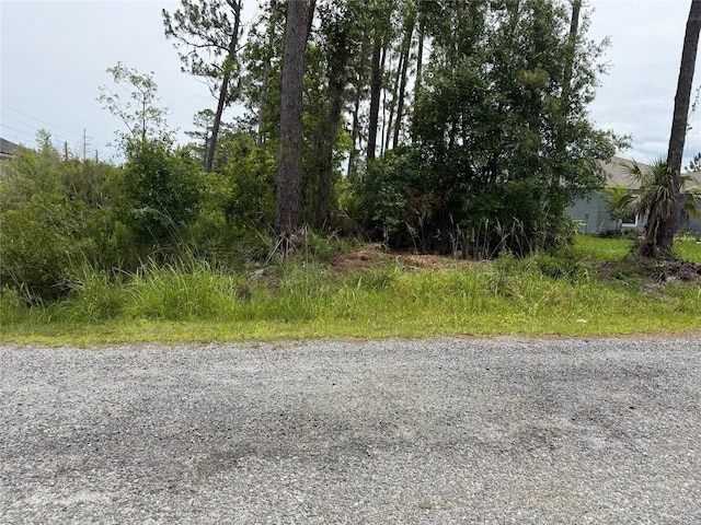 5th Ave, Deland, FL 32724 - photo 3