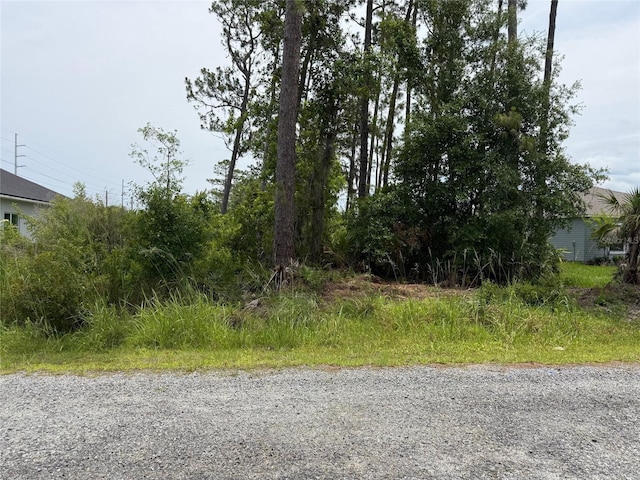 5th Ave, Deland, FL 32724 - photo 4