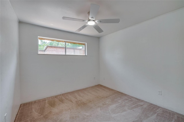 152 Sweetgum Ln, Port Orange, FL 32129 - photo 28