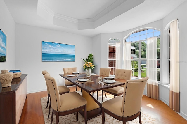 802 Royal Oak Ct, Deland, FL 32724 - dining space with light wood-style floors, a tray ceiling, crown molding, and baseboards