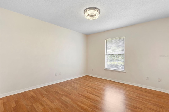 802 Royal Oak Ct, Deland, FL 32724 - empty room with light wood-style flooring, baseboards, and a textured ceiling
