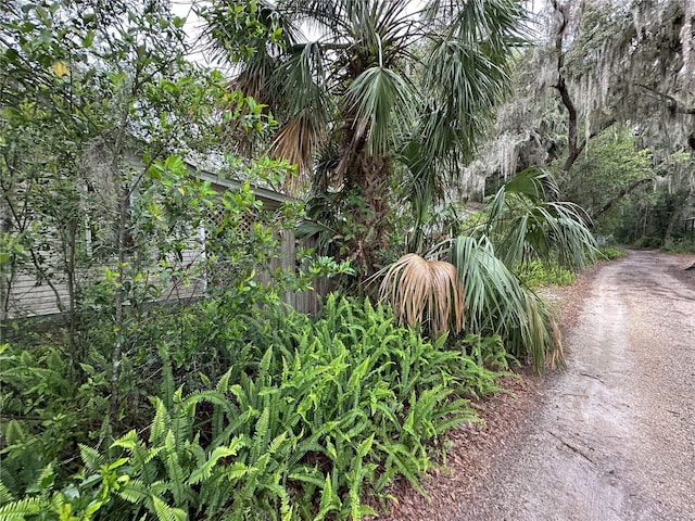 43721 State Road 19, Altoona, FL 32702 - view of undeveloped land