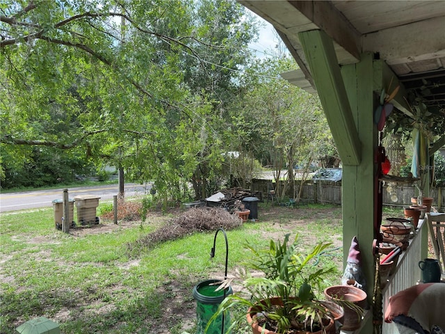 43721 State Road 19, Altoona, FL 32702 - view of yard