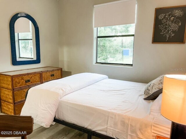 404 S Ridgewood Ave, Daytona Beach, FL 32114 - bedroom with multiple windows and wood finished floors