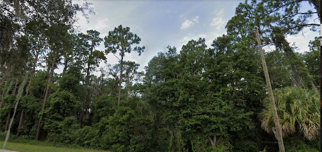 TBD SE 49th St, Ocklawaha, FL 32179