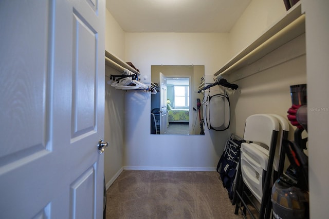 2800 N Atlantic Ave Unit 1716, Daytona Beach, FL 32118 - walk in closet featuring carpet floors