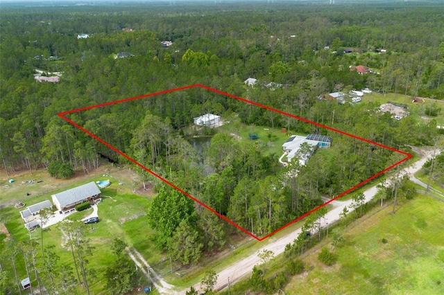 3671 Plantation Dr, Ormond Beach, FL 32174 - aerial view of property's location with a forest and property boundaries highlighted