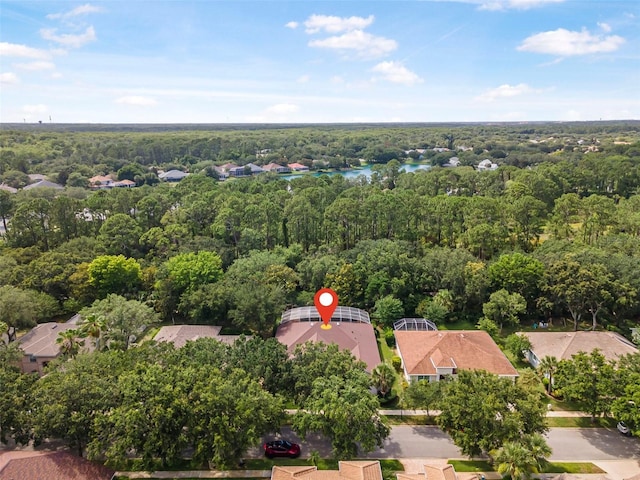 45 Saint Andrews Ct, Palm Coast, FL 32137 - aerial perspective of suburban area with a forest