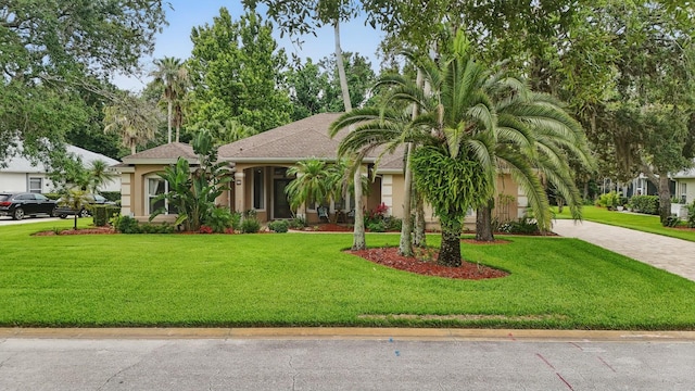 33 Coquina Ridge Way, Ormond Beach, FL 32174 - view of front facade with stucco siding, driveway, and a front lawn