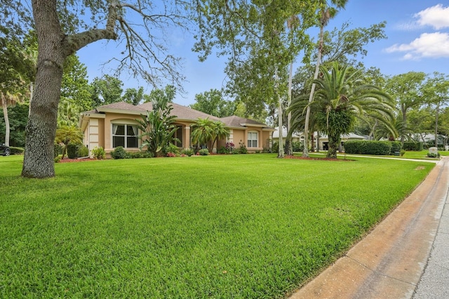 33 Coquina Ridge Way, Ormond Beach, FL 32174 - view of front facade with a front lawn and stucco siding