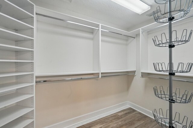 33 Coquina Ridge Way, Ormond Beach, FL 32174 - spacious closet with wood finished floors and a chandelier