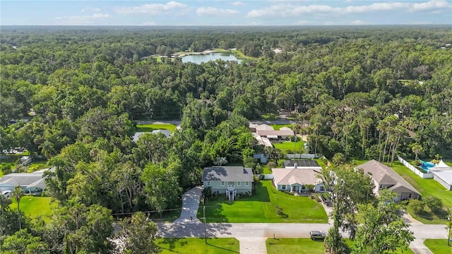 2250 Davis Dr, New Smyrna Beach, FL 32168 - aerial view of residential area with a forest and a nearby body of water
