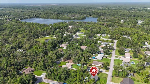 2250 Davis Dr, New Smyrna Beach, FL 32168 - aerial view of property and surrounding area with a heavily wooded area and a large body of water