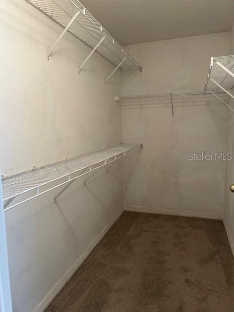 3155 Mapleshade St, Deltona, FL 32738 - photo 6